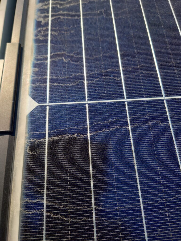 愛媛県|太陽光パネル清掃メンテナンス|株式会社アイエネ K様邸　太陽光発電清掃