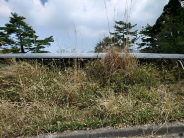 愛媛県|太陽光パネル清掃メンテナンス|株式会社アイエネ 小豆島　野立て