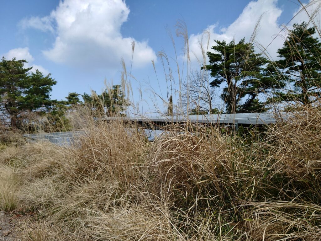愛媛県|太陽光パネル清掃メンテナンス|株式会社アイエネ 小豆島　野立て