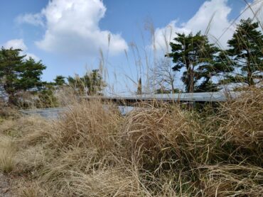 愛媛県|太陽光パネル清掃メンテナンス|株式会社アイエネ 小豆島　野立て