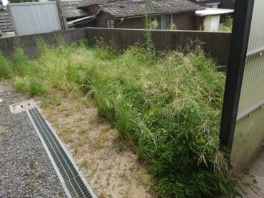 愛媛県|太陽光パネル清掃メンテナンス|株式会社アイエネ 松山市　草刈り