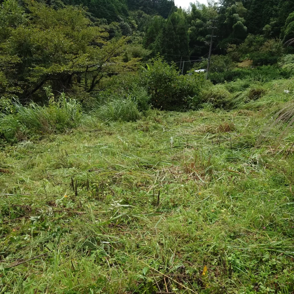 愛媛県|太陽光パネル清掃メンテナンス|株式会社アイエネ 鬼北町　草刈り