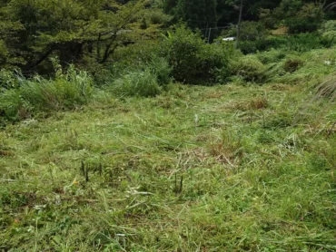愛媛県|太陽光パネル清掃メンテナンス|株式会社アイエネ 鬼北町　草刈り
