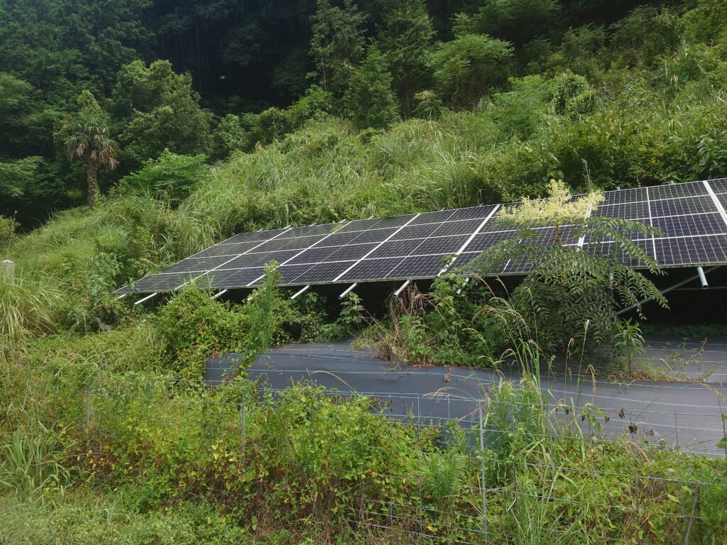 愛媛県|太陽光パネル清掃メンテナンス|株式会社アイエネ 宇和島市　野立て太陽光　草刈り